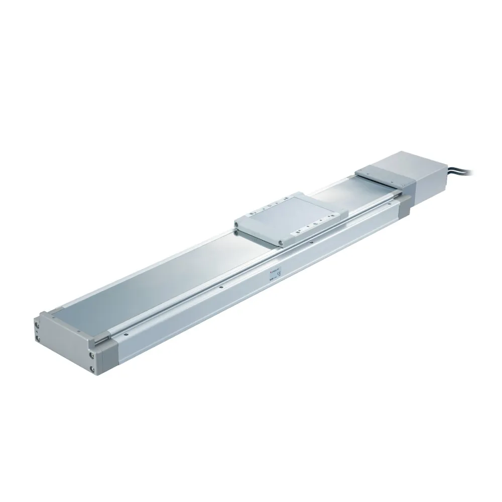 Bộ truyền động điện / Bàn trượt độ cứng cao dẫn động vít me bi 11-LEJS